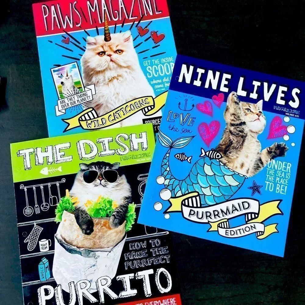 Cat Humor Magazine Cover Portfolio Folders Set